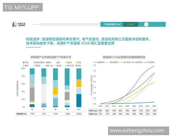 深圳羽毛球队在世界锦标赛中的转型之路与未来发展展望 深圳羽毛球队在世界锦标赛中的转型之路与未来发展展望